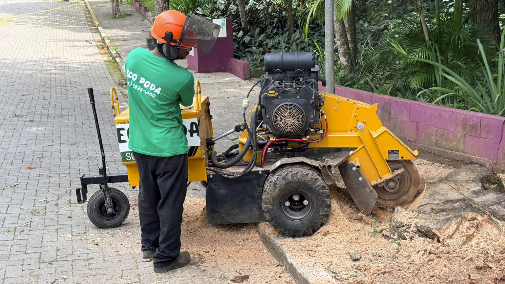 REMOÇÃO DE RAÍZES remocao-de-raizes